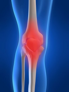 knee-joint