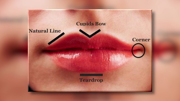 Aesthetic aspects of the lips.