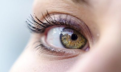 What's the secret behind a 'new' pair of eyes?