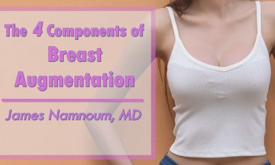 4 components to successful breast augmentation.