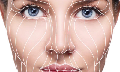 The Four Dimensions of the Facelift.